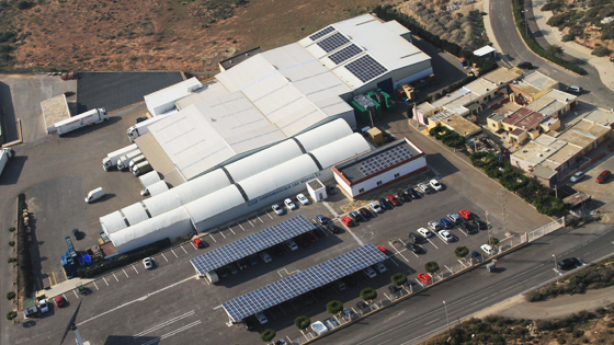 Proconsult. Autoconsumo, energía solar y movilidad eléctrica en Almería