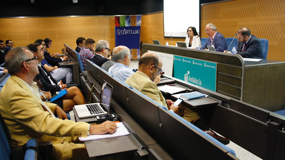 Proconsult. Autoconsumo, energía solar y movilidad eléctrica en Almería